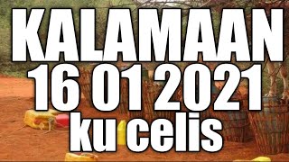 KALAMAAN 16 JANUARY 2021 KU CELIS