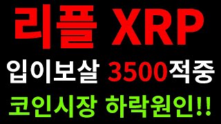 리플 죄송합니다 3500원 결국... 입방정떨어 타점적중 바나코인 솔레이어 체인링크