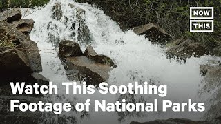 Check Out This Footage of National Parks While Social Distancing | NowThis