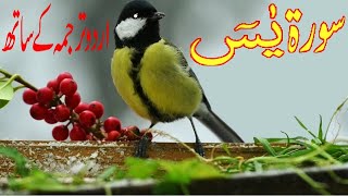 Surah Yaseen Full With Urdu Translation | Qari abdul basit abdul samad | surah yasin