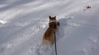 リクとまいは、雪の中を歩く対照的なふたり・・・