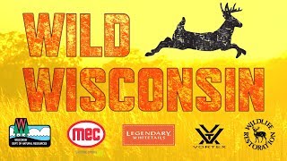 Deer processing tutorial (1/2) - Handling the Harvest Pt. 2 – Wild Wisconsin Ep. 8