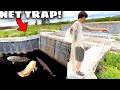 ABANDONED SPILLWAY Net Trap Catches EXOTIC Fish In EVERGLADES!!