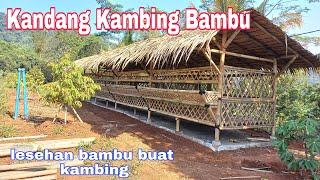 Kandang Kambing Dari Bambu