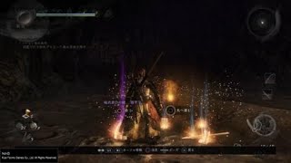 仁王(Nioh) サムライの道　飛縁魔　ノーダメ　守護霊＆レベル上げ縛り