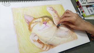 cat｜Oil pastel drawing