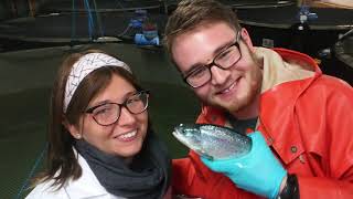 Aquaculture at the University of Guelph