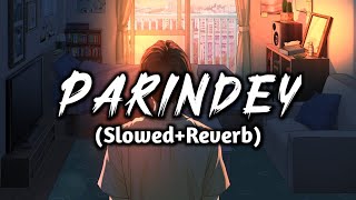 Parindey (Slowed+Reverb) Full HD Video Song|B Praak|Chill Vibes Lofi