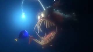 Finding Nemo: Light, Please.