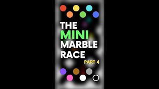 The Mini Marble Race (Part 4/11)