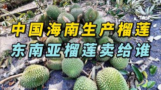 中国海南岛如果开始可以大量生产榴莲，那东南亚各个国家生产的榴莲要卖给谁？