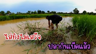 โคตรเด็ดโคตรตื่นเต้นกับหมายดงปลาดุกไส่เบ็ดเสร็จปลากินเบ็ดเบ็ดทันที | ผจญภัยที่บ้านนอก