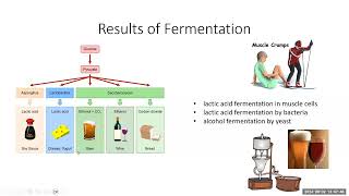 hbio3e without oxygen 7 min