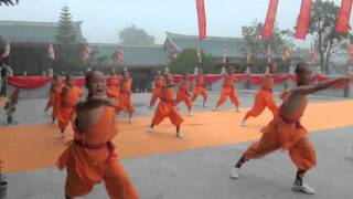 Shaolin Kung Fu 2015 Southern Shaolin Temple