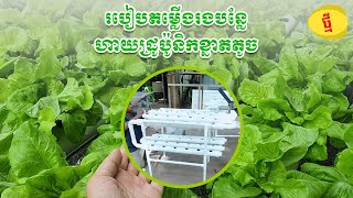 របៀបតម្លើងរងបន្លែ hydroponic ខ្នាតតូច, Khmer Hydro, How to install small hydroponic system, Cambodia