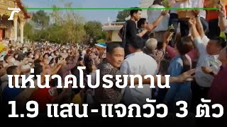 จัดเต็ม แห่นาคโปรยทาน 1.9 แสน-แจกวัว 3 ตัว | 14-02-66 | ตะลอนข่าว