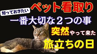 ペット看取り。知っておきたい一番大切な２つの事。愛猫ミルキーの異変に気付いてから２時間半後に旅立ってしまいました。