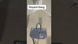 Goyard Gang #goyardgang #goyardbags #mayankbhatter #saintlouistote #goyardcollection #totecollection