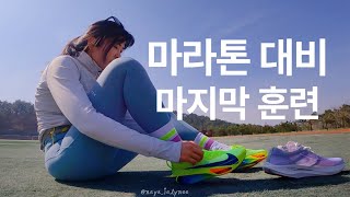 마라톤 330 도전을 위한 마지막 훈련, 마라톤을 위한 러닝화 정하기ㅣ서울마라톤 준비브이로그 EP6