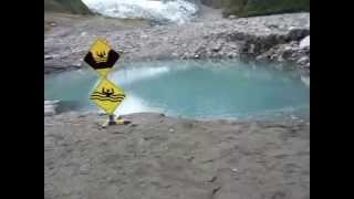 Fox Glacier, NZ !