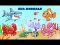 Sea Animals | Children Learn The Names Of Sea Animals | Oh Vui Kids