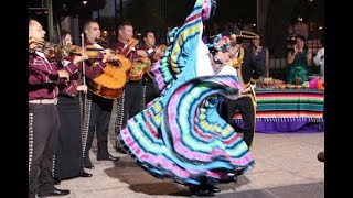 Son de la culebra (con pasos básicos). Baile folcklorico del estado de Jalisco, México.