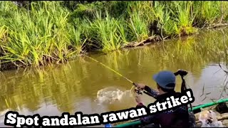 Mancing Ikan!! Serunya Mancing di Sungai Tempatnya Ikan Bersarang Bikin Nagih