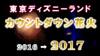 《2017年》東京ディズニーランド カウントダウン花火 \