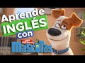 Aprende inglés con La vida secreta de tus mascotas | Express English