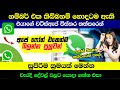 Best useful WhatsApp secret trick sinhala | Last seen | Anjana Academy  | 2021