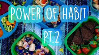 Power of Habit - Part 2 | Losing Weight for Life!