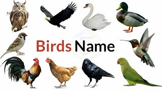Birds Name, 20 birds name, birds name with spelling pictures