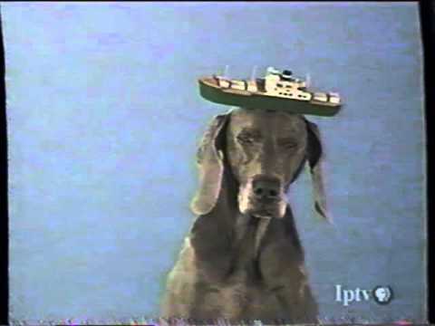 Sesame Street - Wegman's Dogs: B - YouTube