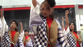 咲夢麗衣　/　サムライ　 1　2013 第１4回姫路良さ恋前日祭