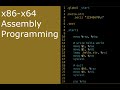 x86-64 Assembly (ASM) 8 - How to write out a character?