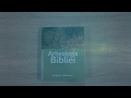 Arheologia biblica