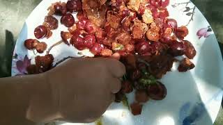 Bwigri gwran ((Dry jujube)) seflena jby🤤🤤😋// Ratima Swargiary