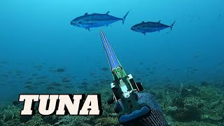 DOGTOOTH TUNA || SPEARFISHING PHILIPPINES || MEL SPEARFISHING TV 😱!