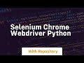 selenium chrome webdriver python