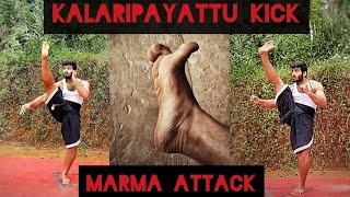 LEARN THIS KALARI KICK (AND IT'S MARMA APPLICATION)