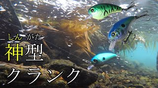 【ダイソールアー】ダイソー神の新型クランク。とても110円とは思えない出来でアングラー達をさらなる信心へといざなう