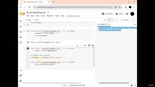 93 Modifying Text Files in Python