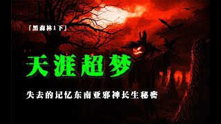 「黑森林1下」天涯超夢；遺失的記憶；東南亞邪神長生的秘密；自殺臥軌鼓掌的室友；天涯神貼