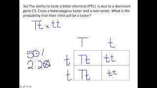 Brockmann Practice Punnett Square Problems