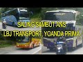 Saling Sambut Bus ANS, LBJ Transport Dan Yoanda Prima Di Lintasan Pacu Padang Jakarta