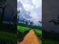 ഞങ്ങൾടെ നാട് പൊളി വൈബ്...👍👍👍 youtubeshorts trending travel travelmood shorts viral video