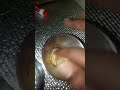 Testing turmeric paper with lime water