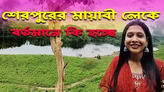 শেরপুরের মায়াবী লেকে বর্তমানে কি যা হচ্ছে || Mayabi lake || Sherpur lake