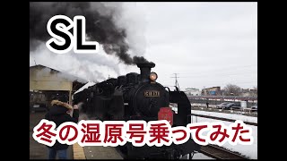 【釧路～標茶間】SL『冬の湿原号』に乗ってみた