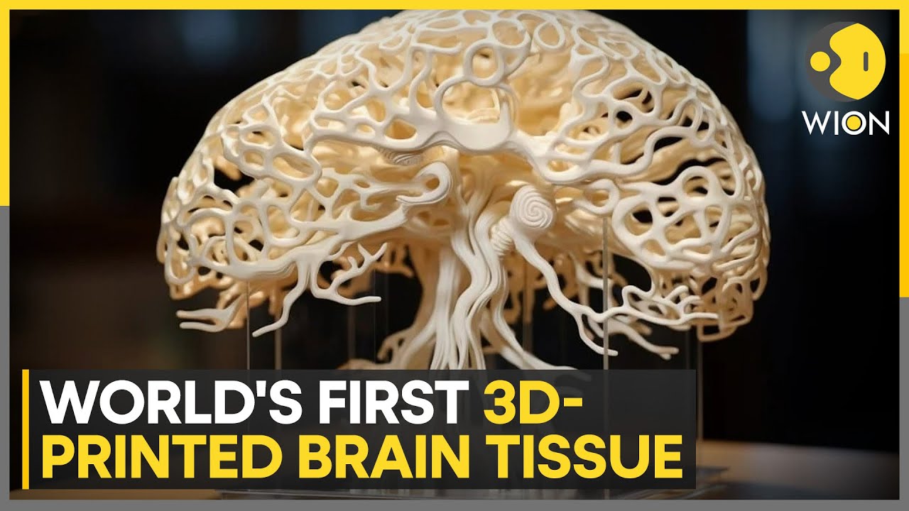 Technology Update Scientists Develop World S First 3d Printed
